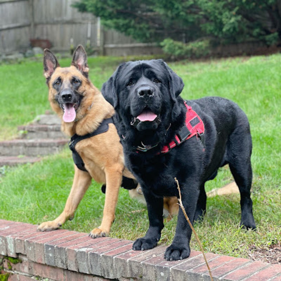 Meet your Posher, Y - Picture 1 of 1